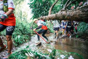 BIB: 
                            <button type="button" onclick="openModal(25516779)" class="btn btn-primary btn-sm float-right btn-popup" data-toggle="modal" data-target=".modal-high-quality">
                        <i class="fas fa-shopping-cart"></i> Add to Cart
                    </button>
                                            <button type="button" onclick="isThisMe(25516779, true)" class="btn btn-success btn-sm float-right btn-popup btn-isme hidden" data-toggle="tooltip" data-placement="bottom" title="นี่คือรูปของคุณใช่ไหม คลิกที่นี่เพื่อเอาเข้าอัลบั้ม">
                        <i class="fas fa-plus"></i> Add to album
                    </button>
                    <button type="button" onclick="isThisMe(25516779, false)" class="btn btn-warning btn-sm float-right btn-popup btn-isnotme hidden">
                        <i class="fas fa-ban"></i> Remove from album
                    </button>